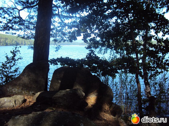 17 ����: ������