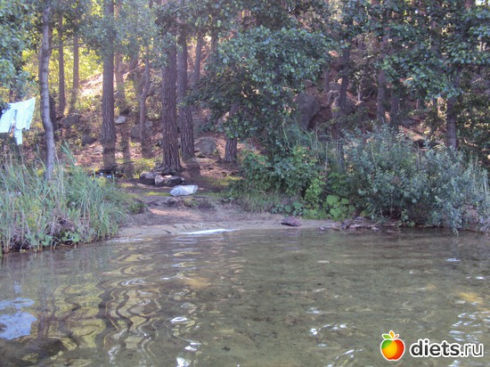 18 ����: ������