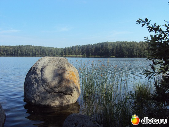 19 ����: ������