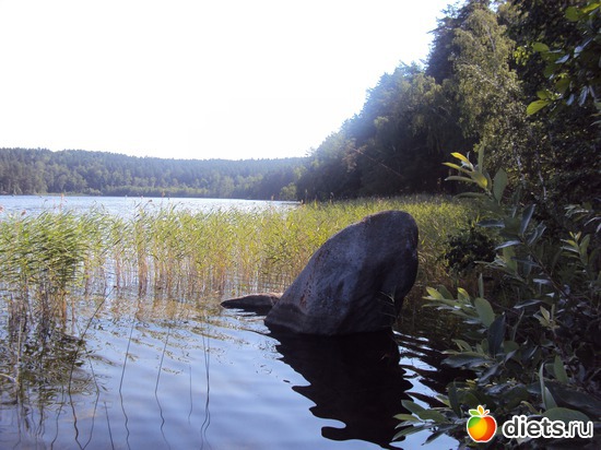 20 ����: ������