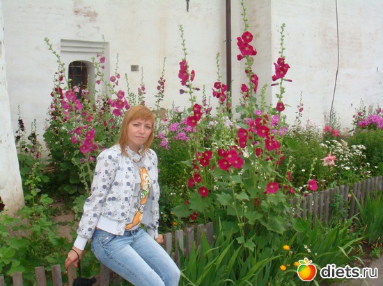 11 ����: ����