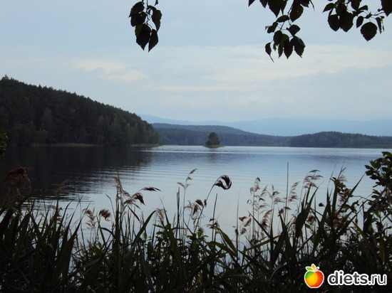 23 ����: ������