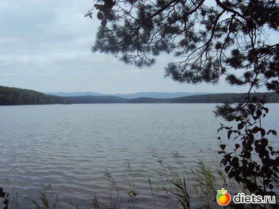 25 ����: ������