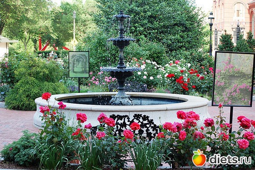 Розовый ландшафт