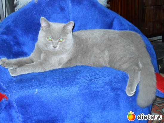 1 фото: Ника