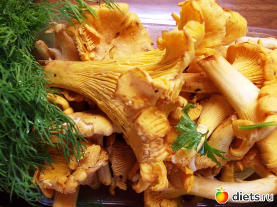 лисички, альбом: Мои блюда