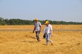 Почти как агроном