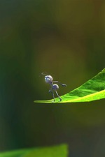 Ну какой, а?