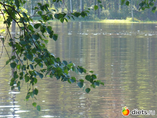 1 ����: ������