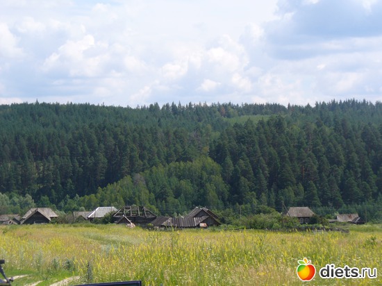 3 ����: ������