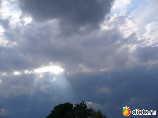 4 ����: ������