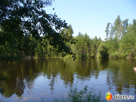 5 ����: ������