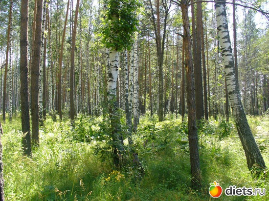 6 ����: ������