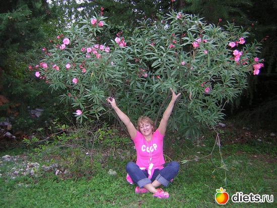 ����, ������: ���� ���� �����!