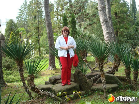 ������ ���� � ����, ������: ��� �