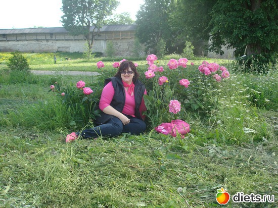 � ������ ���������� ������, ������: ��� �