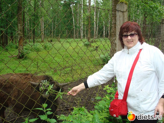 � ������ � ������, ������: ��� �