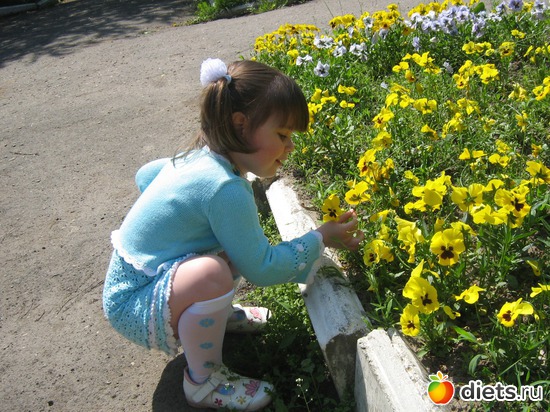 3 ����: �������-�������