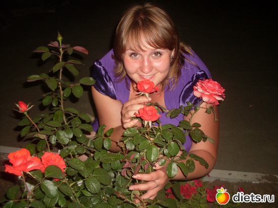 3 ����: ������