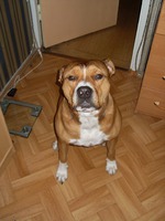 ��� ������