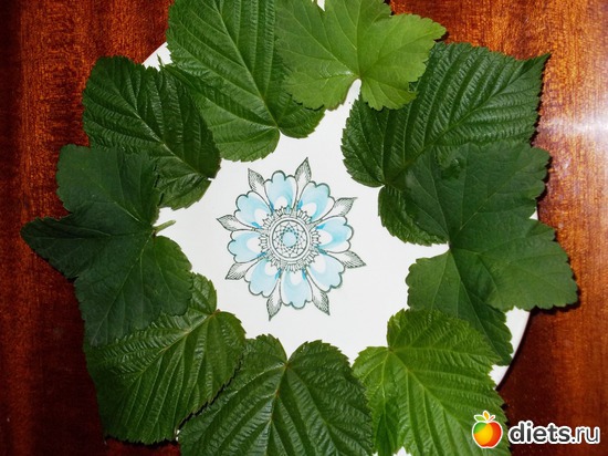 ИНГРЕДИЕНТЫ К ЗАВТРАКУ, альбом: Мои блюда