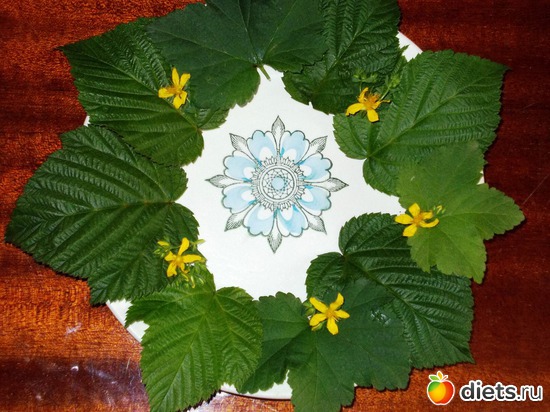 ИНГРЕДИЕНТЫ К ЗАВТРАКУ, альбом: Мои блюда