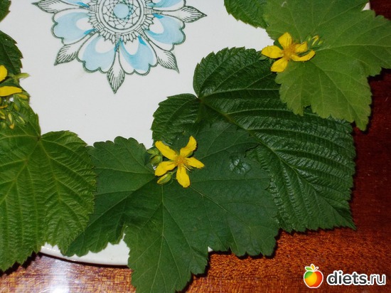 ИНГРЕДИЕНТЫ К ЗАВТРАКУ, альбом: Мои блюда