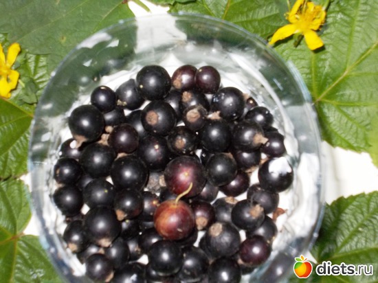 ИНГРЕДИЕНТЫ К ЗАВТРАКУ, альбом: Мои блюда