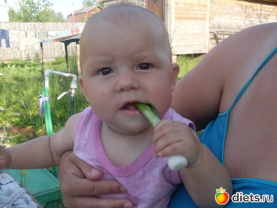 52 ����: ���� 2011