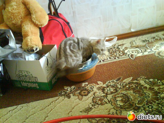 ���������� ������ :), ������: ������