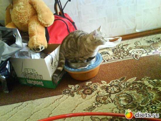 ���� ���� :), ������: ������