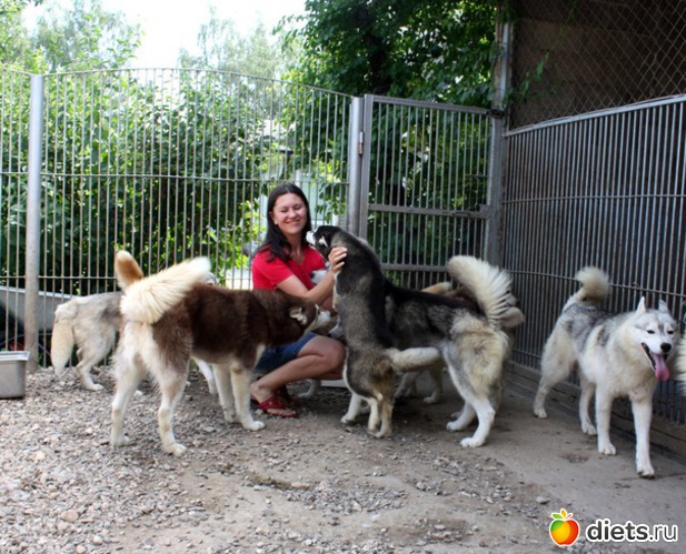 7 ����: ���� 2011