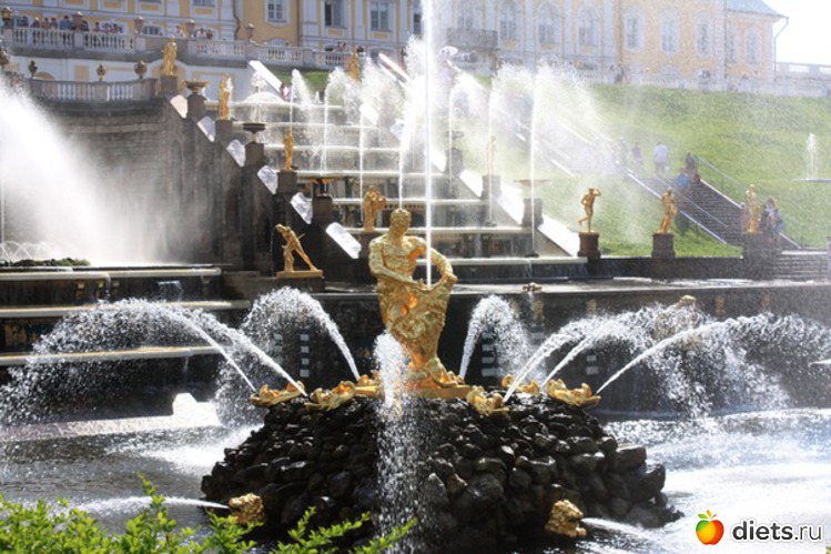 8 ����: ���� 2011