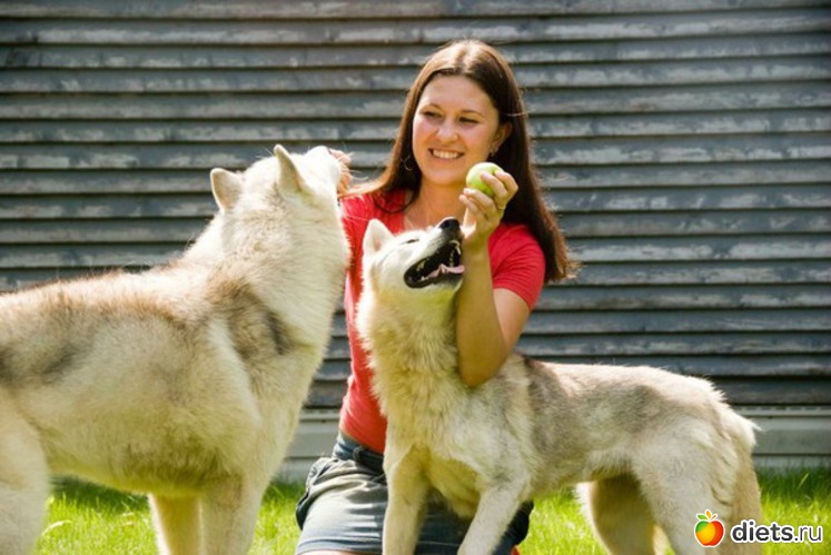 11 ����: ���� 2011