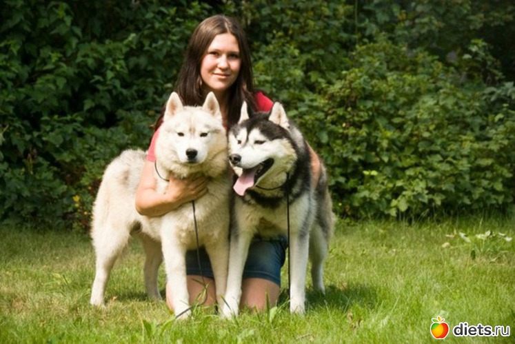 17 ����: ���� 2011