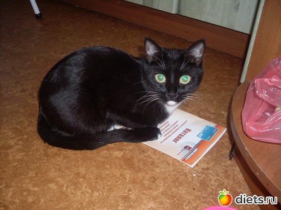 12 ����: ���� 2011