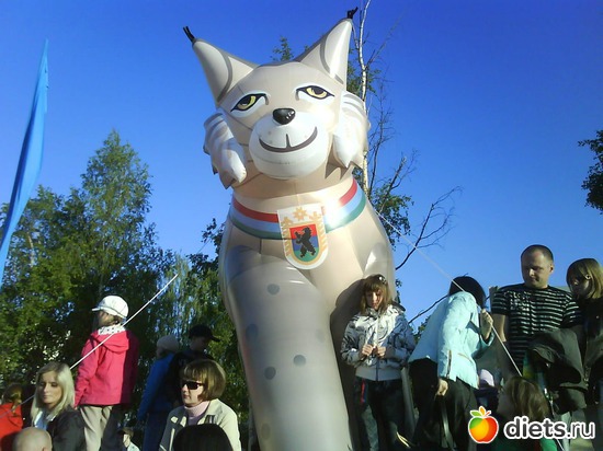 90 лет Карелии, альбом: Карелия