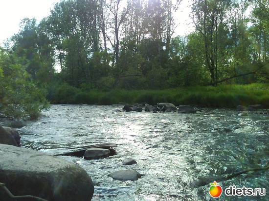 лососинка, альбом: Карелия