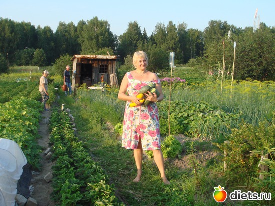 2 ����: ��