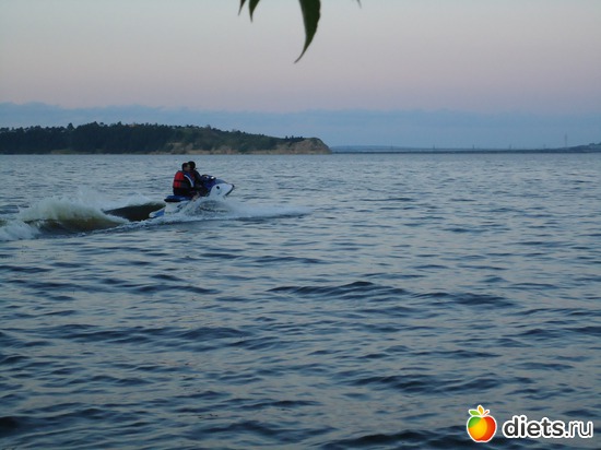 ��� ������������, ������: ���� 2011