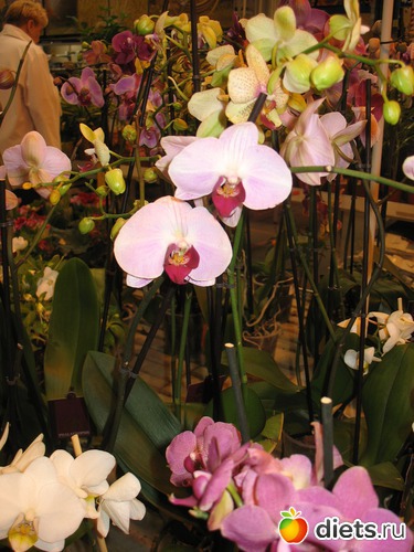 6 ����: �����