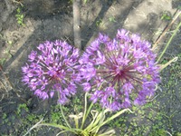 За все всегда всем воздается