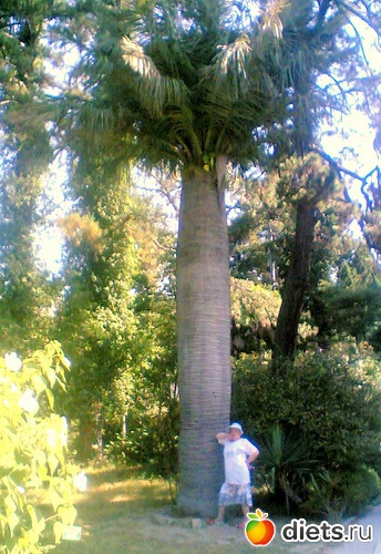 6 ����: � ������