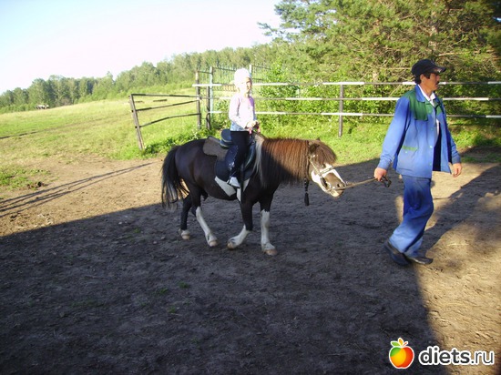 ������ �����, ������: � �������