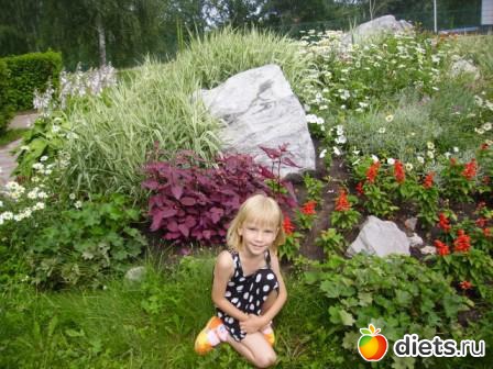 ������� �������� ������