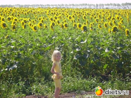 � �������