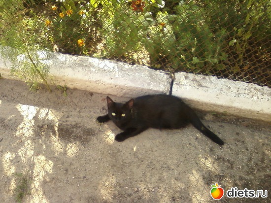 2 ����: ����