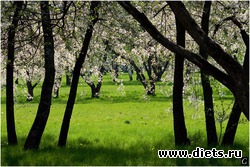   &quot;, , ,  -  &quot;. .  .