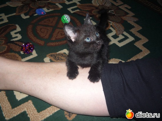 2 ������, ������: ����