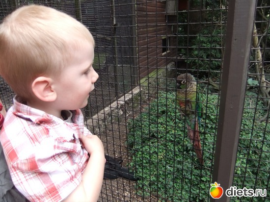 5 ����: Harewood House